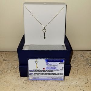 14 Karat Gold Pendant and 18" Chain with (20) Natural Diamonds